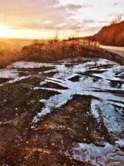 Super husband Lin Xi