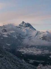 lt;lt;All in, my dec