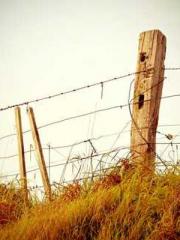 Awakening of the Mas