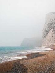 Rebirth of the Urban