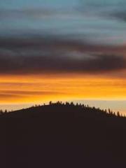 My Sweet Wife: The C