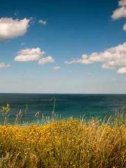 I Picked Up a Cultiv