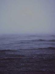 After Transmigrating