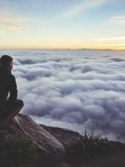 Rebirth of the Urban