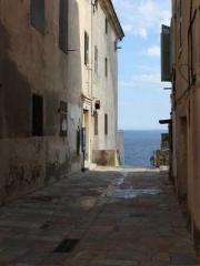 The Taoist nun was f