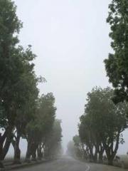 The Sovereign of the