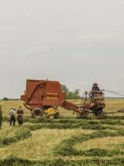 The Taoist nun was f