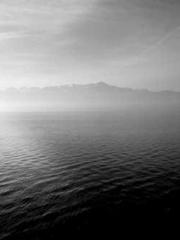 Rebirth of the Urban