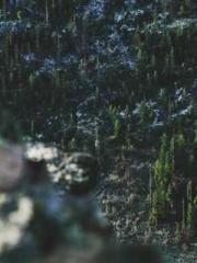 The  Princess  Rebor