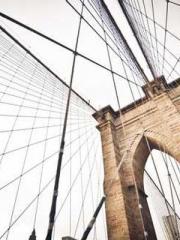 Super husband Lin Xi