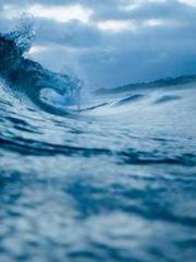 Peninsula Asteroid l