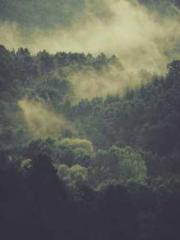 Becoming a solitary 