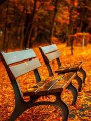 Fast Travel: The Vil