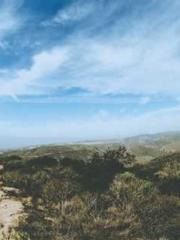 The generalapos;s yo