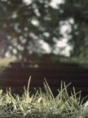 The Taoist nun was f