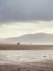 Peninsula Asteroid l