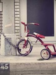 Professor Yan is goi