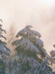 The Rebirth of a Phy