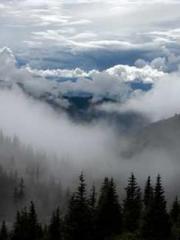 The Taoist nun was f