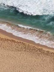 Lǐnfēng Lín yún yu y