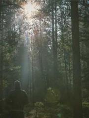 Professor Yan is goi