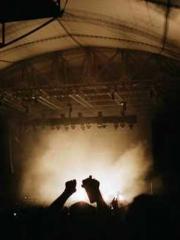 The Imperial Concubi