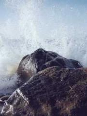 The Apothecaryapos;s